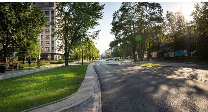 Wkrótce nowe drzewa i krzewy