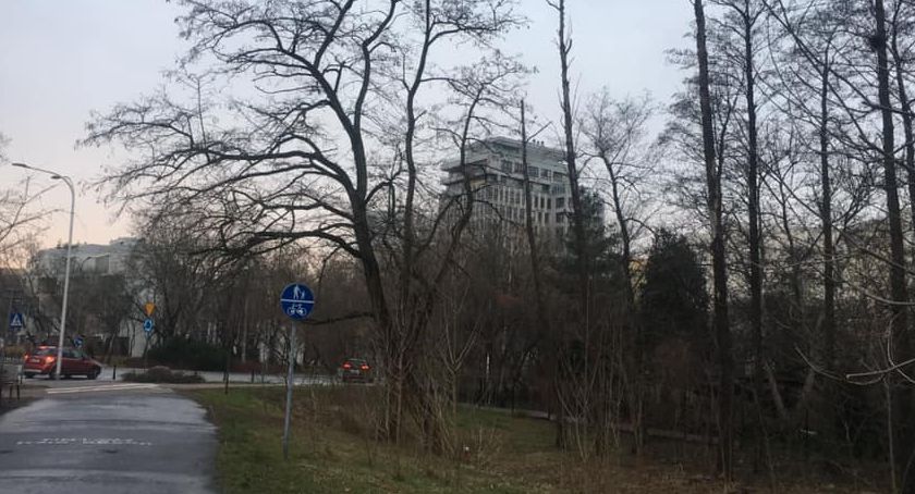 Czy Kępa Potocka stanie się częścią Kampinoskiego Parku Narodowego?