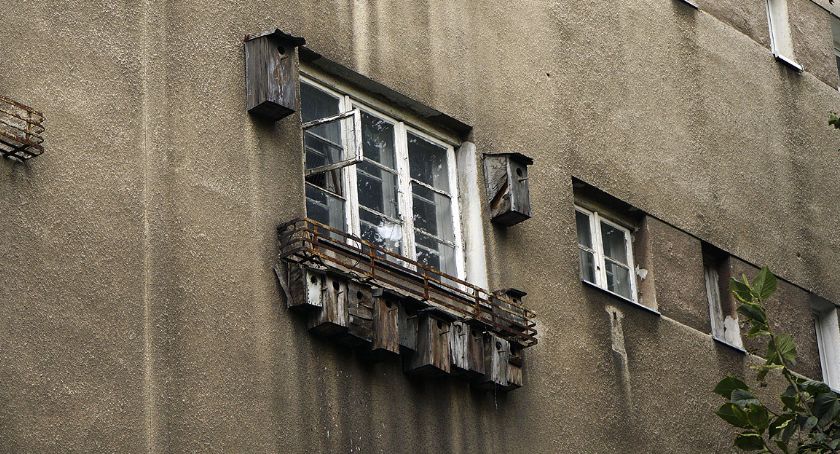 Ornitolog z Bitwy Pod Rokitną