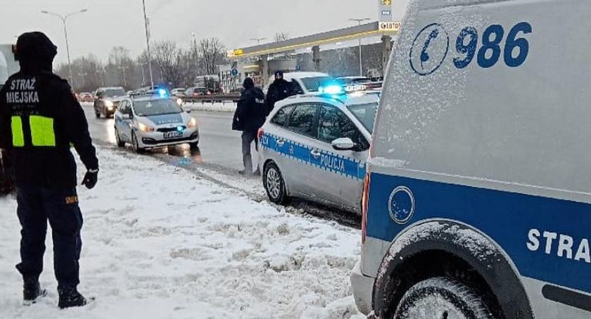Sarenka, bezpański pies i żółwie śnieżne