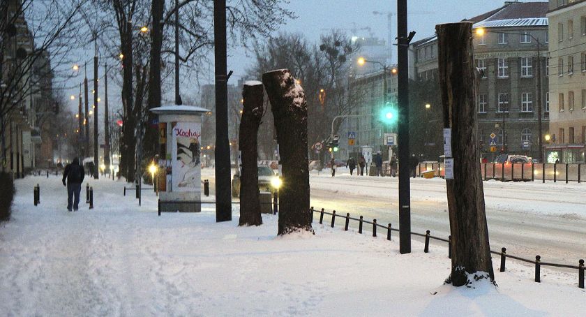 Przy Popiełuszki drzewa płaczą