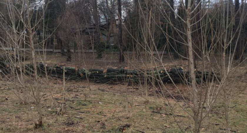 Zarząd Zieleni chce wzmacniać czy osłabiać ekosystem Żoliborza?
