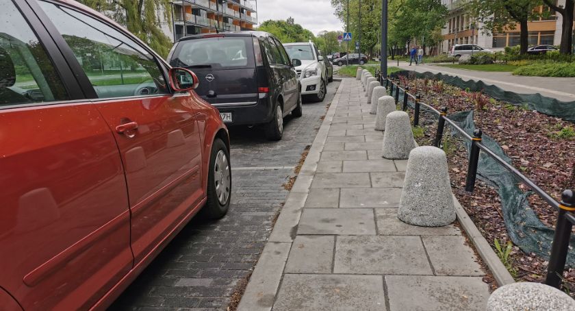 Zabezpieczanie zieleni i nowe plany dla ul. Rydygiera [ZDJĘCIA]