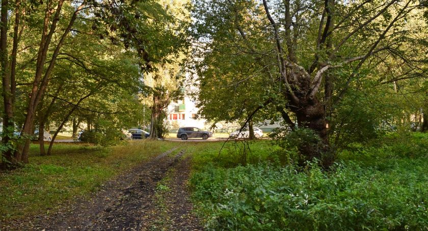 Ruszył konkurs architektoniczny na nowy Środowiskowy Dom Samopomocy