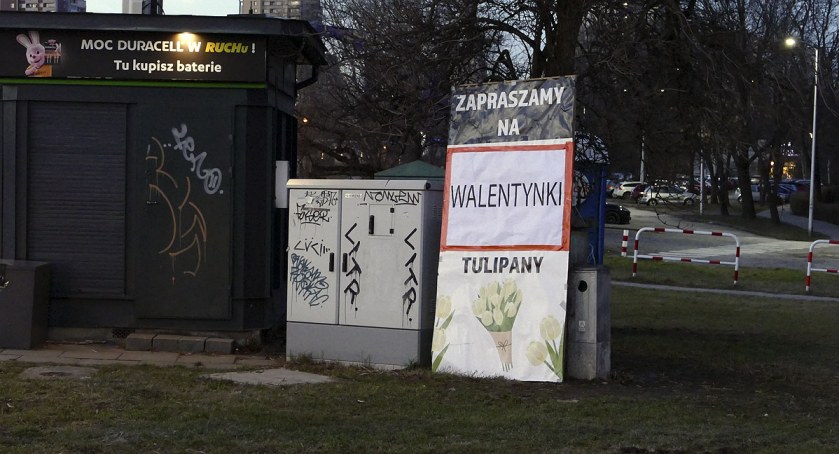 Akcja tulipan