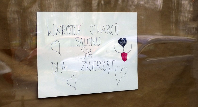 SPA dla zwierząt na Żoliborzu