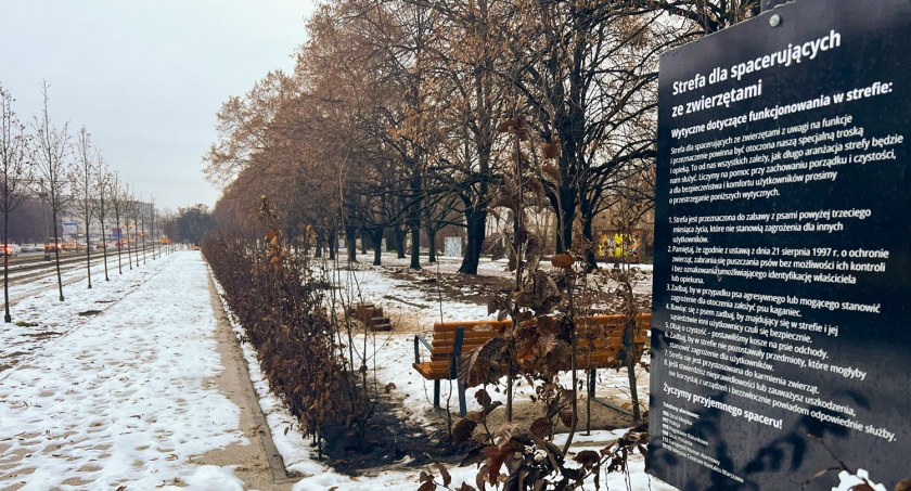 Strefa spacerowa dla osób z psami