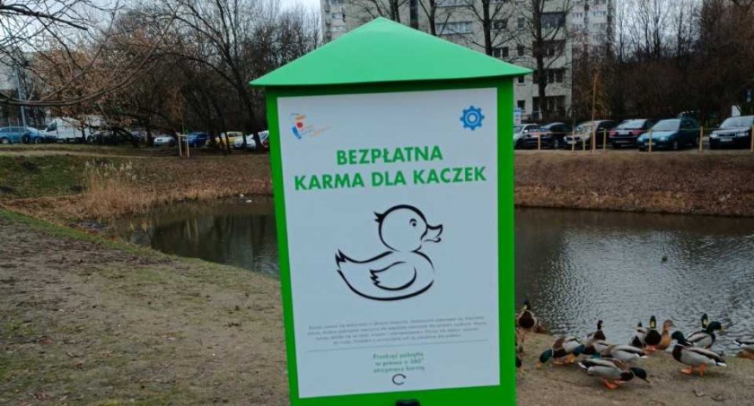 Kaczkomat na Żoliborzu