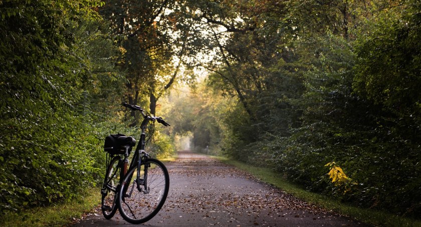 Najlepsze trasy rowerowe