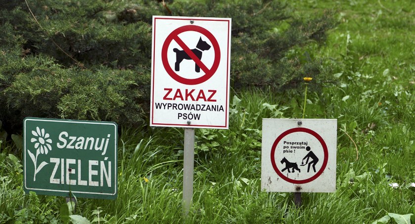 Żoliborskie sprzeczności i psia kupa