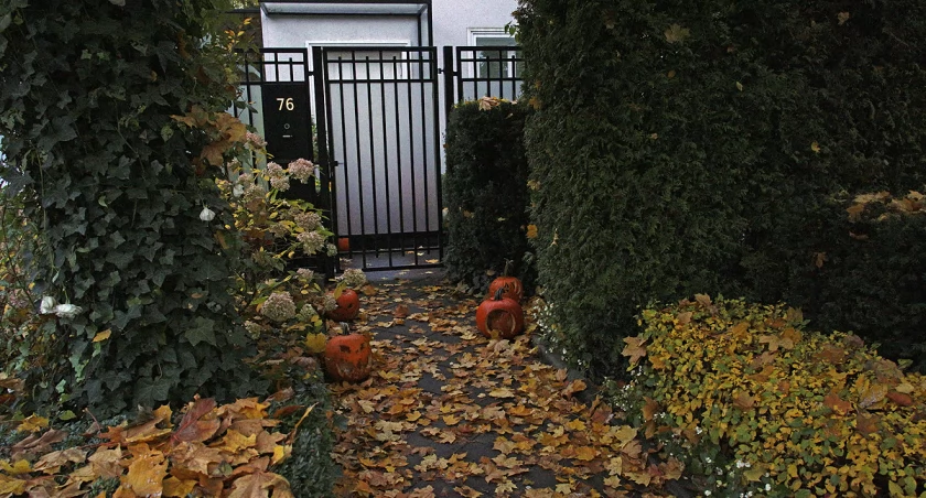Żoliborski helloween