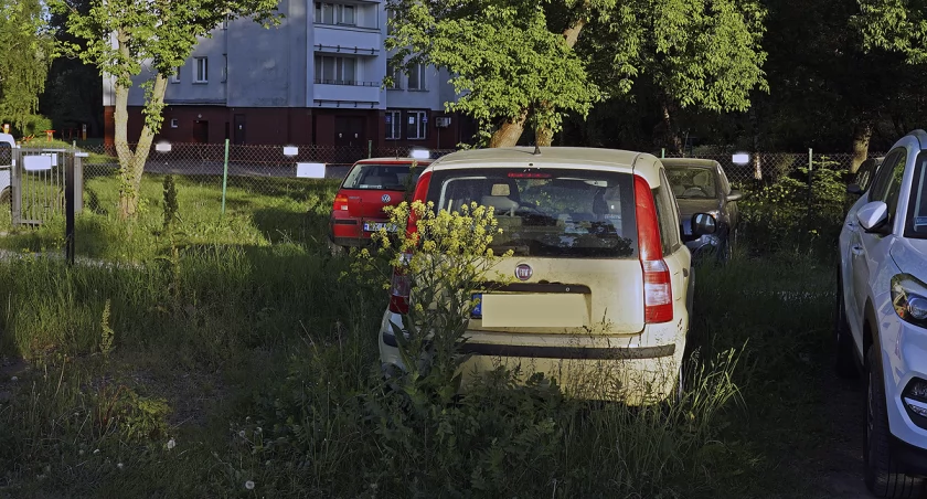 Wrosty na Żoliborzu