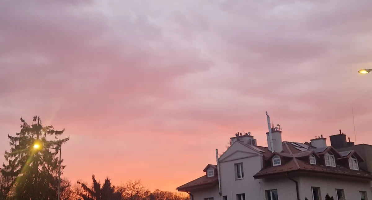 Projekt ,,Nie jesteś sam