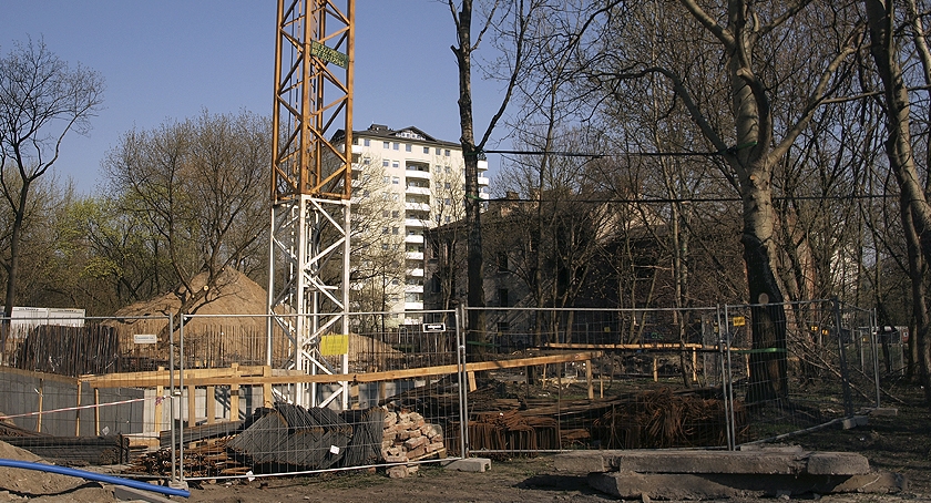 W ochronie drzew na Barszczewskiej