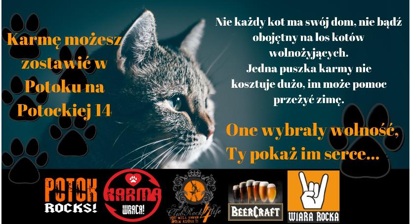 Kotom życzymy – smacznego!