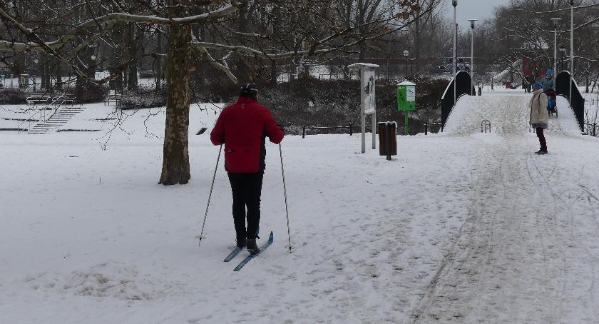 Kępa Potocka – dobre miejsce na zimowy spacer