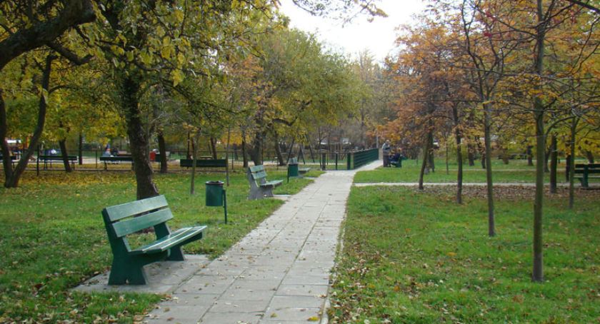 Czy Sadom Żoliborskim grozi wycinka?
