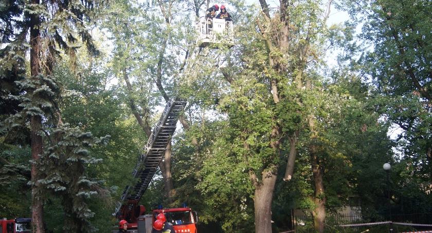 Interwencja strażaków w Parku Żeromskiego