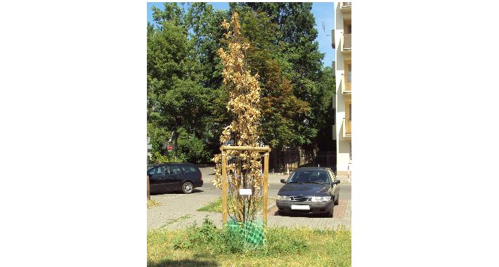 PO SOCJALISTYCZNEMU