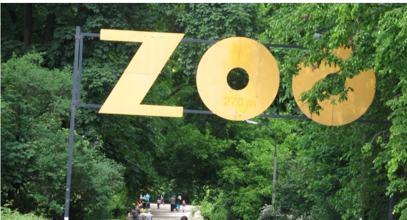 Ferie w warszawskim ZOO