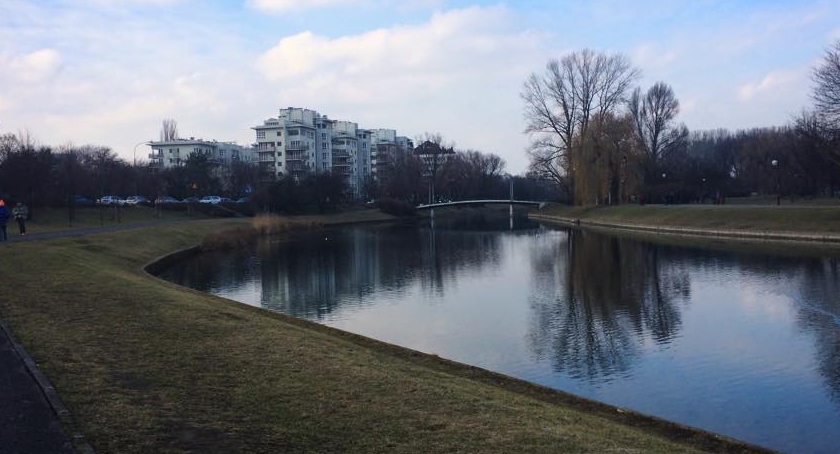 Głosuj na Kępę.