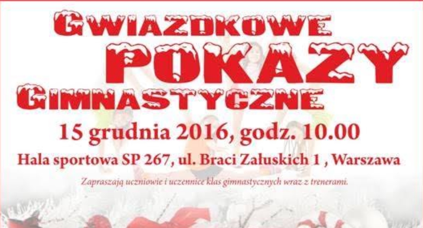 Gwiazdkowe pokazy gimnastyczne w SP 267