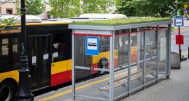 Zielona wiata przystankowa na Żoliborzu