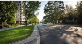 Wkrótce nowe drzewa i krzewy