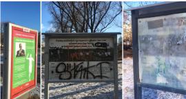 Kępa Potocka - jedna jaskółka nie czyni wiosny