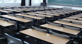 Studia o psychologii – dlaczego warto wybrać taki kierunek? 