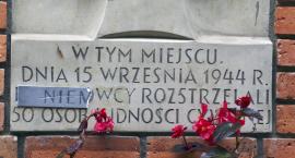 Niemcy czy hitlerowcy?
