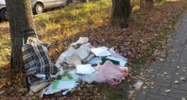 Wrażliwe dokumenty na Mickiewicza