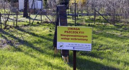 Pszczółki powrócą na Kępę Potocką 