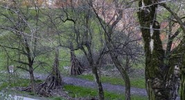 Bobry i żeremia na Żoliborzu