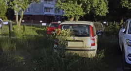 Wrosty na Żoliborzu