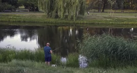 Małpi sum w kanałku na Kępie Potockiej