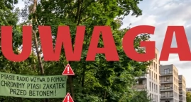 Wojna o 