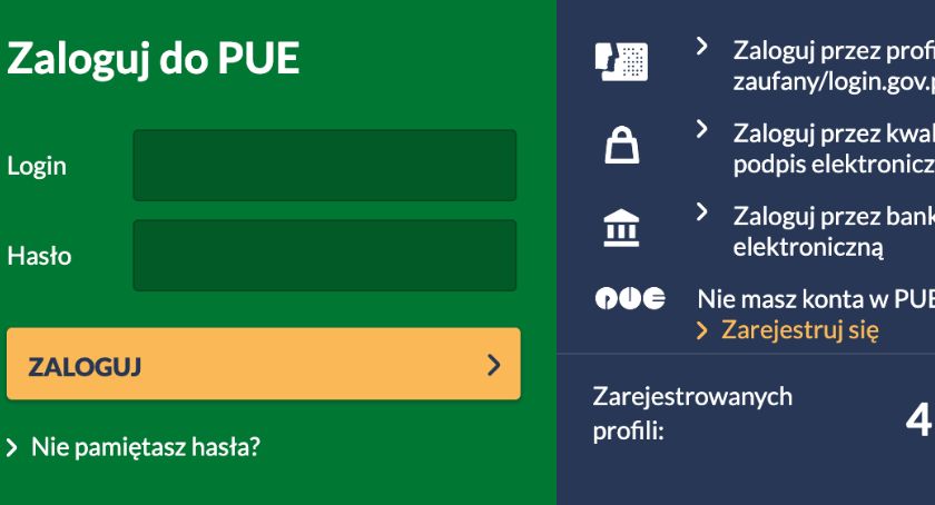 PUE: tu załatwisz wiele spraw bez wychodzenia z domu
