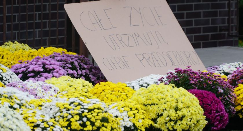 Chryzantemy przed biurem senatorskim i mieszkaniem zambrowskich polityków PiS [foto]