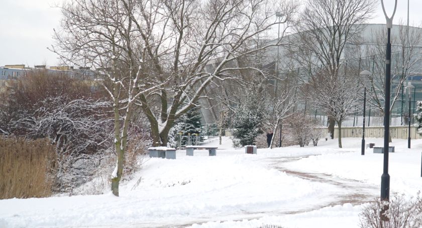 Mrozy wracają! Termometry mogą wskazać nawet -23°C