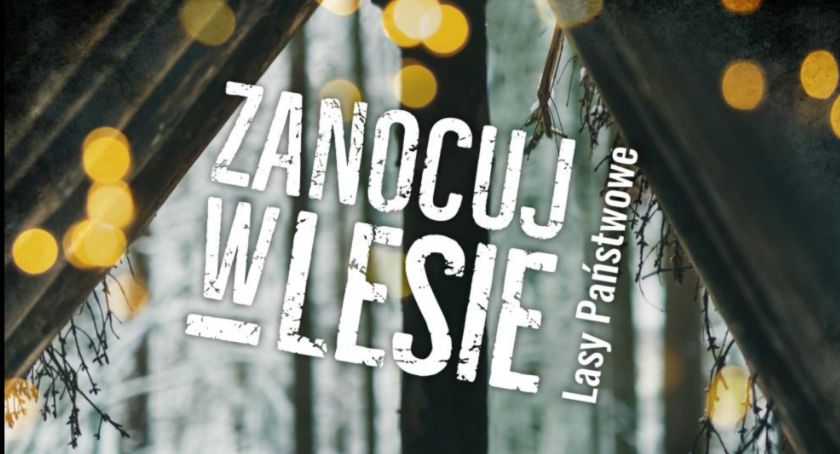 „Zanocuj w lesie” - Nadleśnictwo Łomża zaprasza do Czerwonego Boru