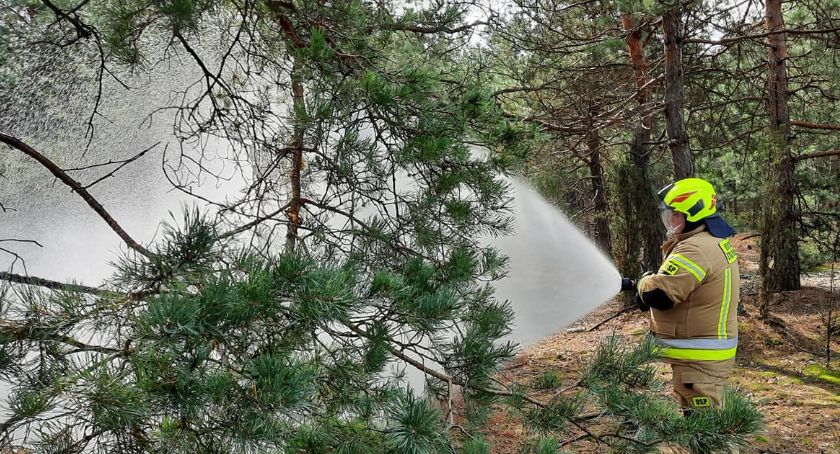 Pożar lasu nieopodal Głębocza Wielkiego [FOTO]