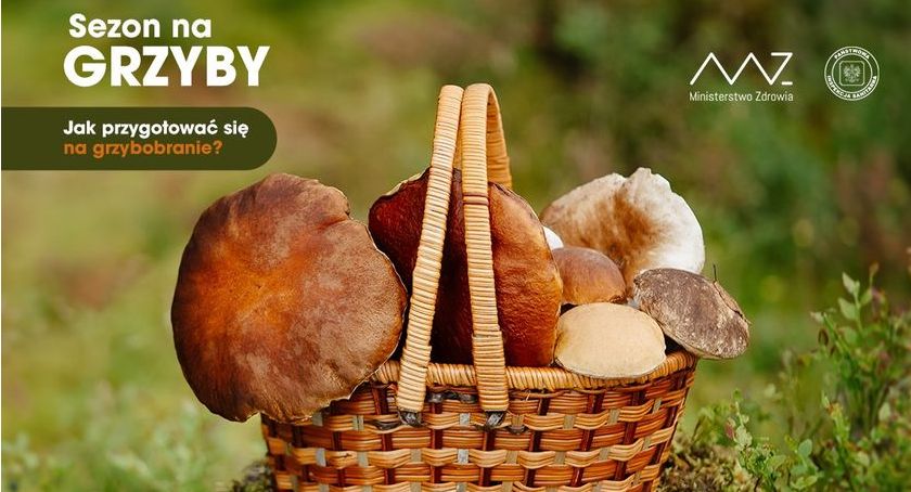 Sezon na grzyby. Jak przygotować się na grzybobranie?