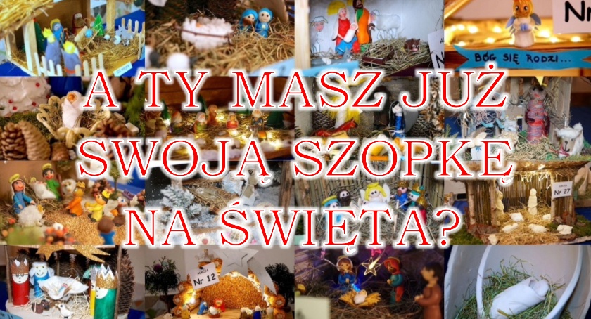 Szopki czekają na ludzi o dobrych sercach! Licytuj - pomóż podopiecznym 