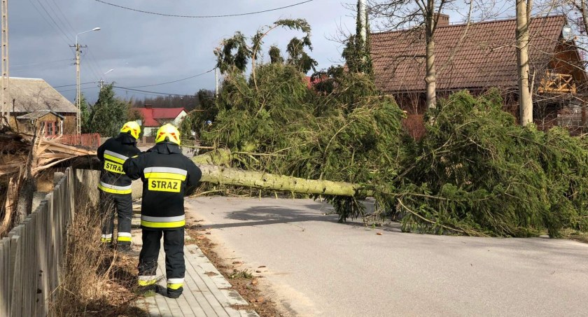 Połamane drzewa, zerwane dachy, uszkodzone linie energetyczne. Strażacy walczą ze skutkami wichury [FOTO]