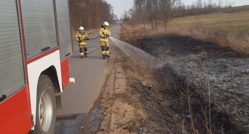 Wypalanie traw jest karalne! [FOTO]