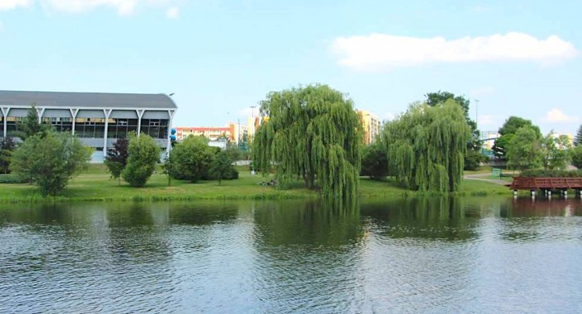 Radna proponuje utworzenie edukacyjnej ścieżki botanicznej [SONDA]