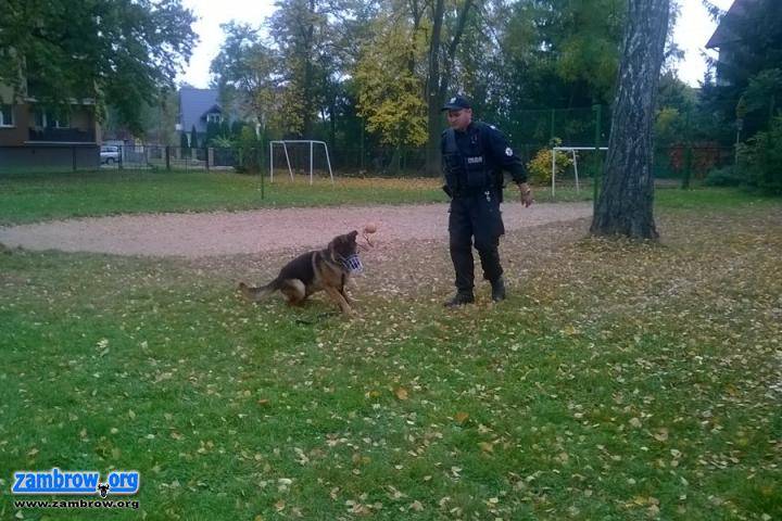 Zajęcia świetlicowe w ramach DEN