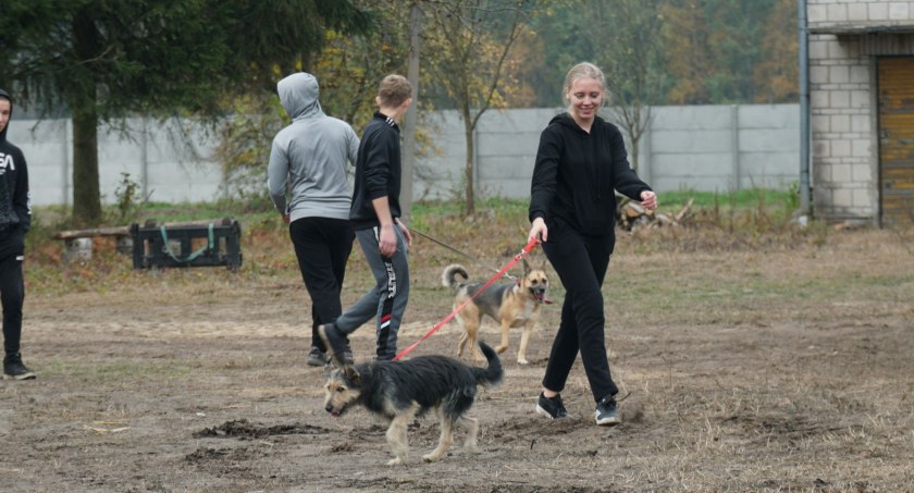 Uczniowie ZSA pomagali w przytulisku Fundacji Jedno Serce Nie Da Rady [VIDEO+FOTO]