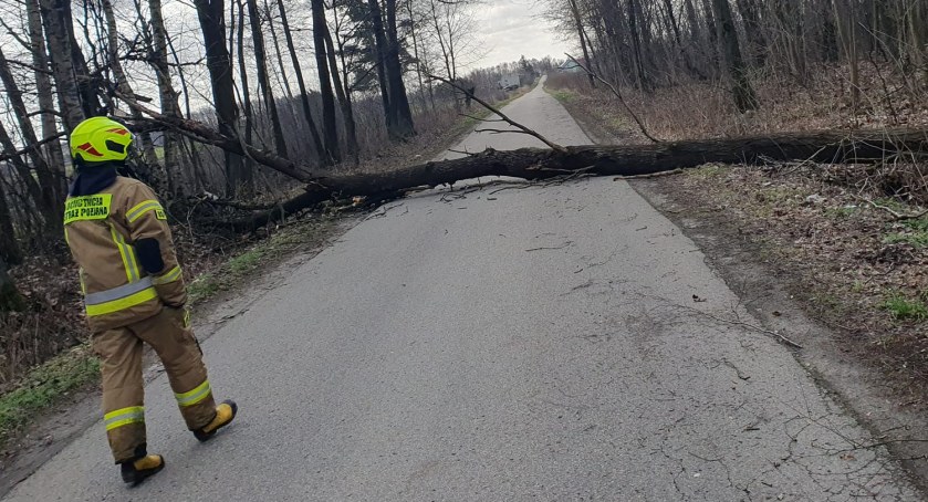 Strażacy interweniowali przy skutkach wichury [FOTO]